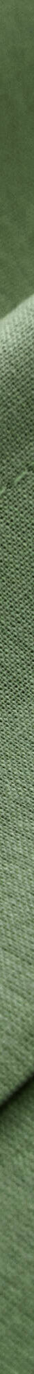 Linge de lit uni - coton bio** (vert olive) Linge de lit uni - coton bio** (vert olive)